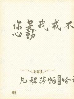 你是我戒不掉的心动