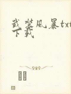 武装风暴txt下载封面