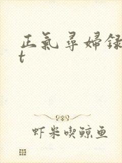 正气寻妇录txt