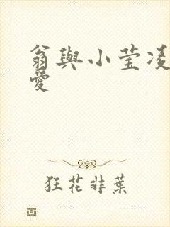 翁与小莹凌晨欢爱