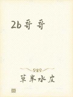 2b哥哥