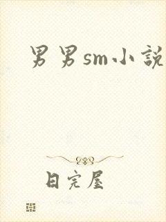 男男sm小说封面