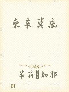 东来莫忘封面