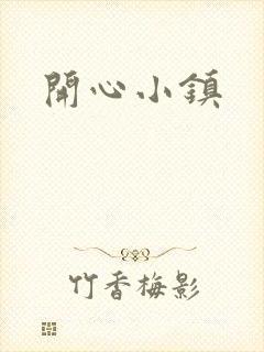 开心小镇封面
