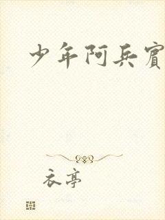 少年阿兵宾封面