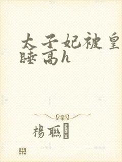 太子妃被皇上强睡高h封面