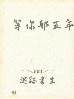 等你那五年