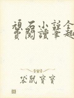 顽石小说全文免费阅读笔趣阁