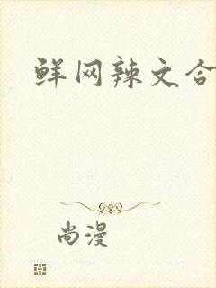 鲜网辣文合集封面