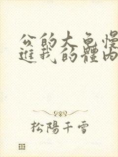 公的大龟慢慢挺进我的体内