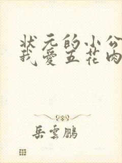 状元的小公主(我爱五花肉)封面
