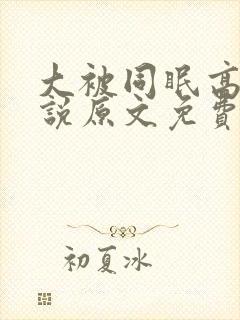 大被同眠高粱小说原文免费阅读
