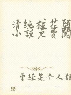 清纯校花堕落记小说免费阅读