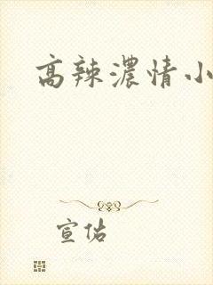 高辣浓情小说