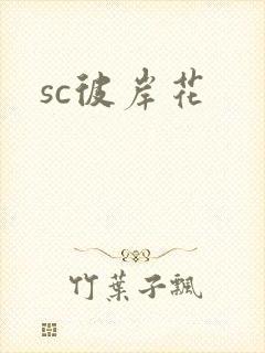 sc彼岸花