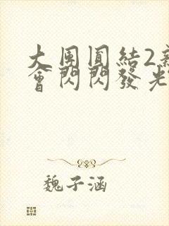 大团圆结2亲情会闪闪发光亲情会2
