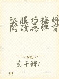 征服巧梅婶全文阅读无弹窗笔趣阁封面