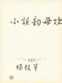 小说韵母攻略