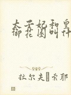 太子妃和皇帝在御花园叫什么小说