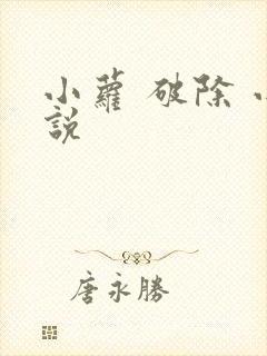 小萝 破除 小说