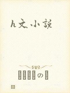 h文小说
