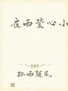 夜雨莹心小说
