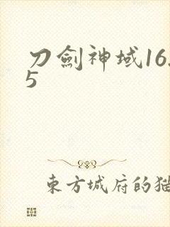 刀剑神域16.5