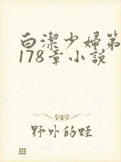 白洁少妇第1一178章小说
