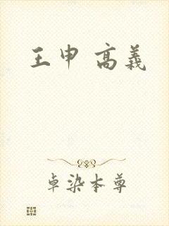 王申 高义