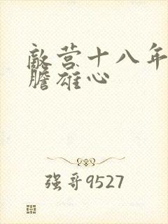 敌营十八年2虎胆雄心