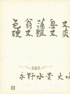 色翁荡息又大又硬又粗又爽