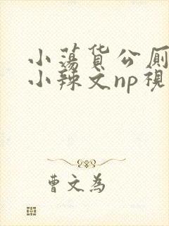 小荡货公厕h文小辣文np视频封面