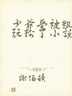 少爷受被粗汉H玩松了小说封面