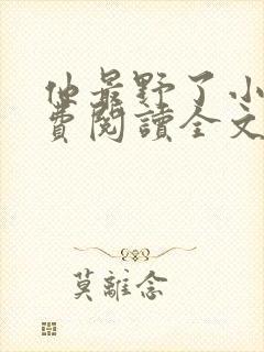 他最野了小说免费阅读全文封面