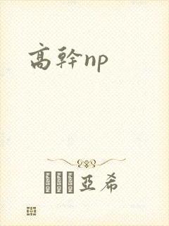 高干np