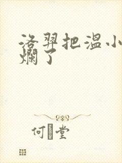 洛羿把温小辉做烂了封面