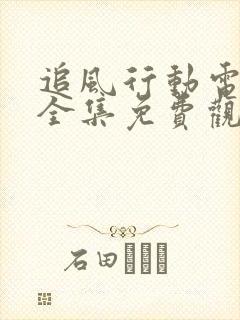 追风行动电视剧全集免费观看封面
