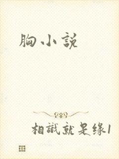 胸小说