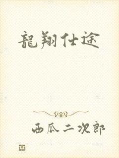 龙翔仕途封面