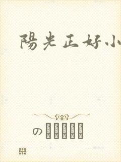 阳光正好小说