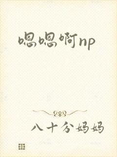 嗯嗯啊np