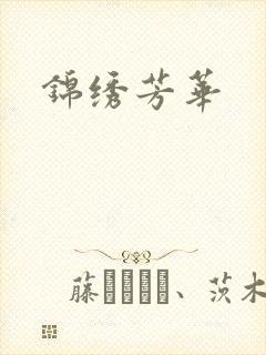 锦绣芳华