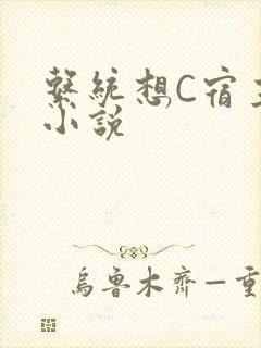 系统想C宿主的小说