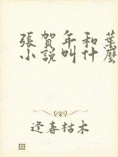 张贺年和叶繁姿小说叫什么名字