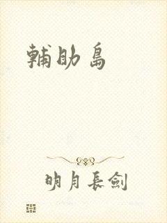 辅助岛