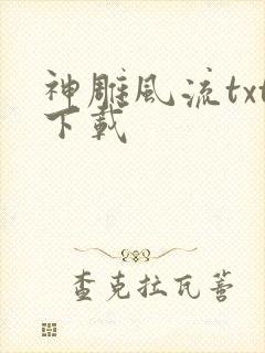 神雕风流txt下载