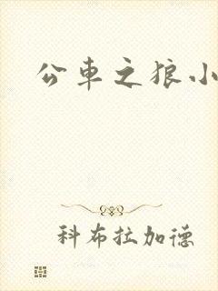公车之狼小说