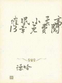 催眠小柔高达第13章免费阅读