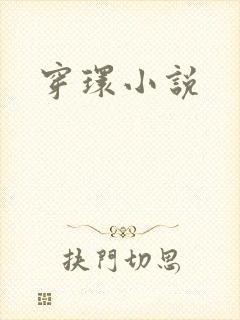 穿环小说