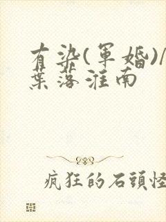 有染(军婚)/叶落淮南